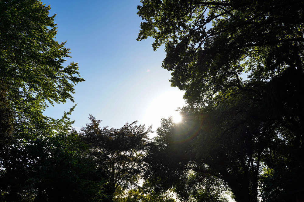 Blue Sky With Trees