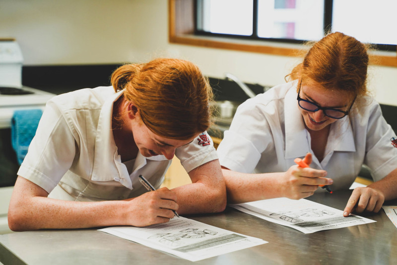 Ginger Girls Laughing